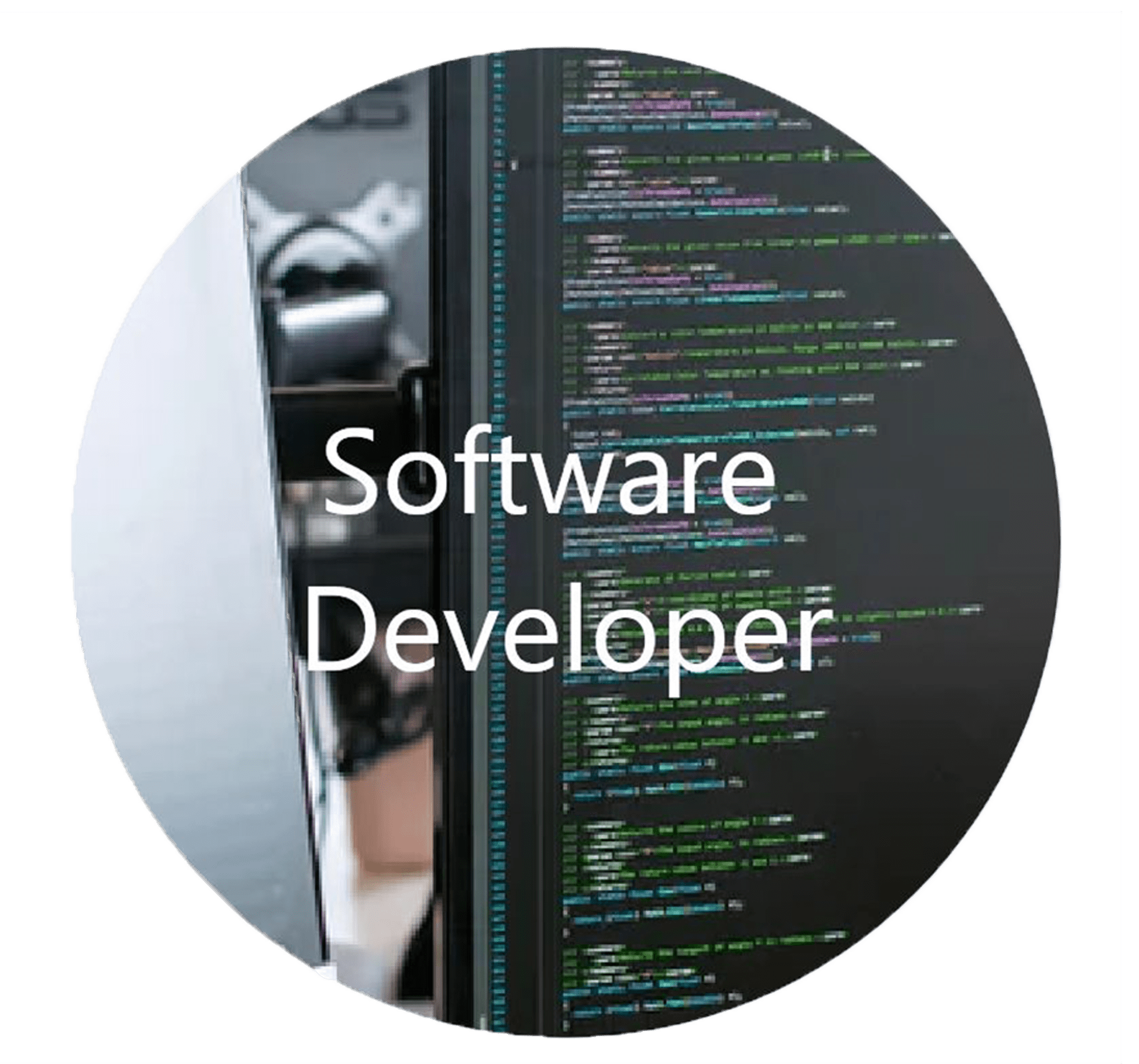 Software Developer